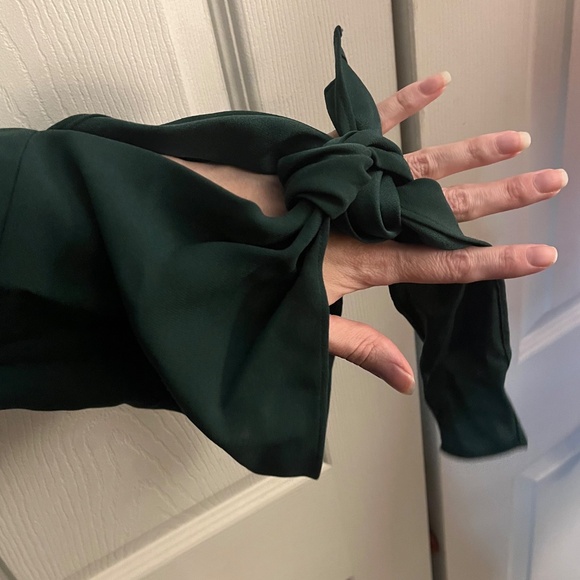 NWT BCBG MAX AZRIA Jordane Jumpsuit Dark Amazon size L - Picture 4 of 7